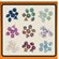 Mystery Dice