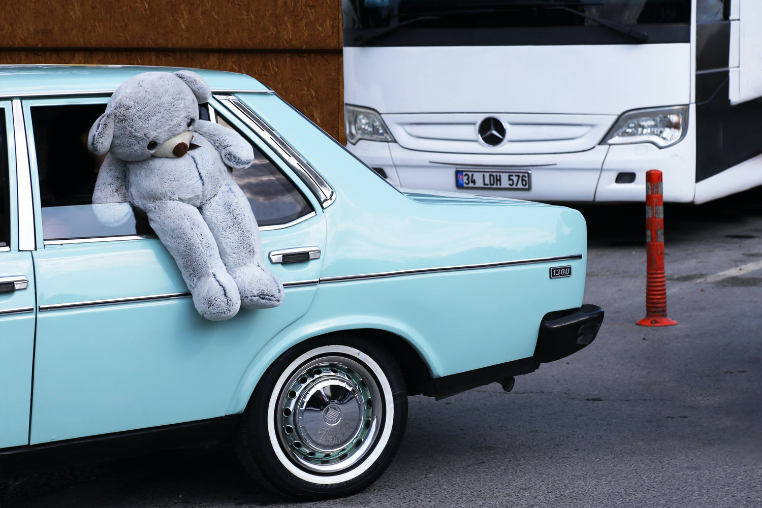 Plushies & Stuffies