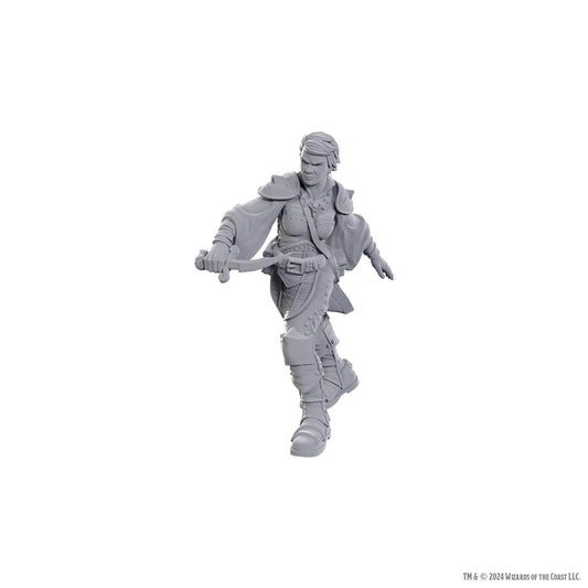 D&D Nolzur's Marvelous Unpainted Miniatures: Wave 25: Swashbuckler